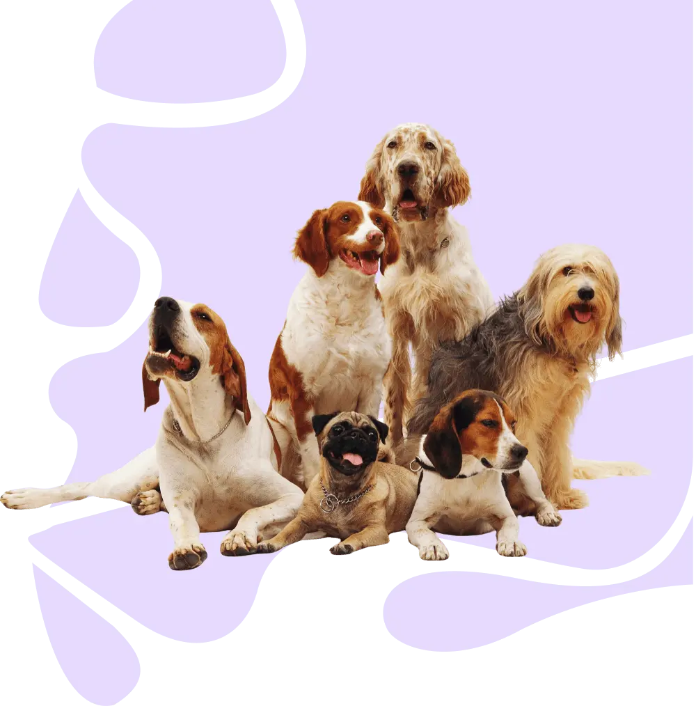 Ilustración de mascotas felices en la guardería