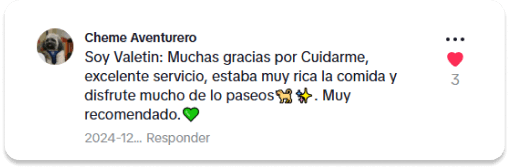 Comentario positivo 1 en TikTok sobre GatuBella