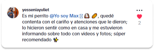 Comentario positivo 2 en TikTok sobre GatuBella