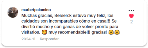 Comentario positivo 3 en TikTok sobre GatuBella
